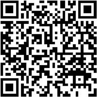 Stechbeitel Stechbeit-2K-18Mm