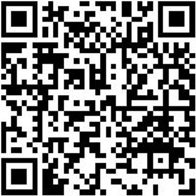 Stechbeitel Stechbeit-2K-24Mm