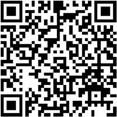 Stechbeitel Sortiment/Set Stechbeit-Satz-2K-6Tlg