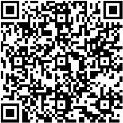 Steuerwerkzeug Sortiment/Set Steuerwerkzeug Satz Renault/Nissan