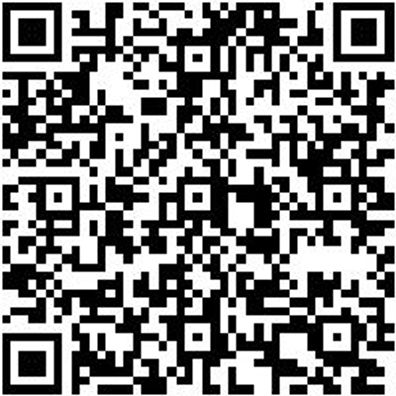 Steuerwerkzeug Sortiment/Set Steuerwerkzeug Satz Ford 2.0 - 2.2 - 2.4