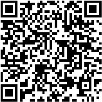 Steuerwerkzeug Sortiment/Set Steuerwerkzeug Satz Vw Gruppe