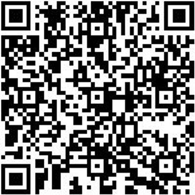 Steuerwerkzeug Sortiment/Set Steuerwerkzeug Satz Vw Gruppe