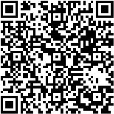 Steuerwerkzeug Sortiment/Set Steuerwerkzeug Satz Psa Gruppe 2.7