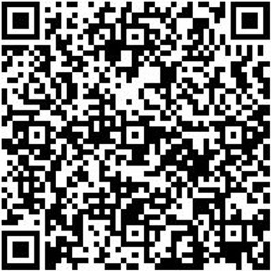 Steuerwerkzeug Sortiment/Set Steuerwerkzeug Satz Opel1.0 - 1.2 - 1.4