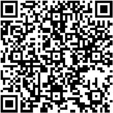 Steuerwerkzeug Sortiment/Set Steuerwerkzeug Satz Fca Group 1.4-3.0