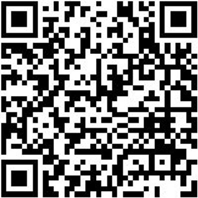 Stabschleifer Druckluft Stabshlf-Dl-Dsg25