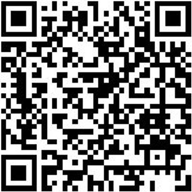 Stabschleifer Druckluft Polr-Mini-Dl-Dmp25