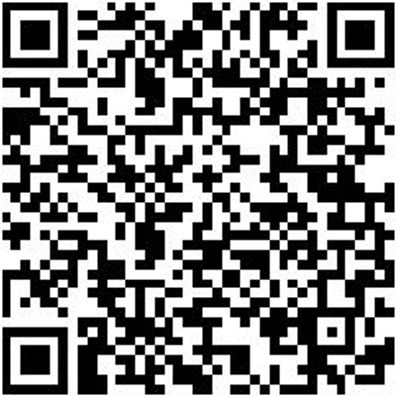 Powerpack Für Akku Maschinen Powerpack-Liion-12V-2X2Ah