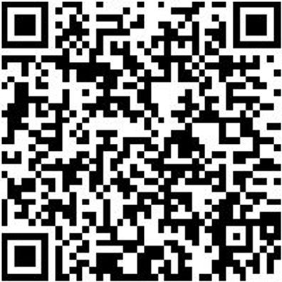 Splinttreiber Spltreib-4Mm-L175Mm