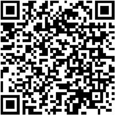 Splinttreiber Spltreib-4Mm-L150Mm