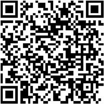 Splinttreiber Spltreib-8Mm-L230Mm