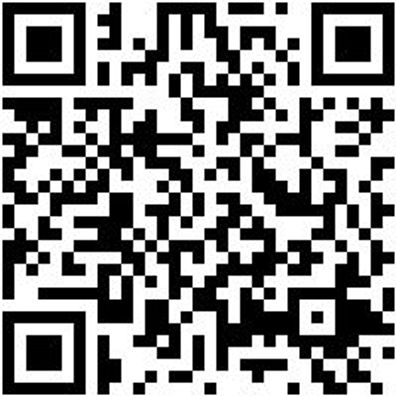 Stechbeitel Stechbeit-Din5139-B20Mm