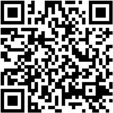 Stechbeitel Stechbeit-Din5139-B24Mm