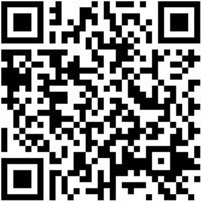 Stechbeitel Stechbeit-Din5139-B30Mm