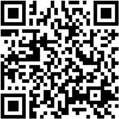 Stechbeitel Stechbeit-Din5139-B40Mm