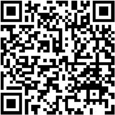 Stechbeitel Stechbeit-2K-10Mm