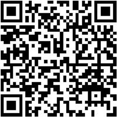 Stechbeitel Stechbeit-2K-20Mm