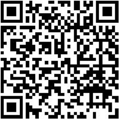 Stechbeitel Stechbeit-2K-26Mm