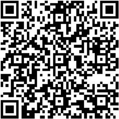 Steuerwerkzeug Sortiment/Set Sa Steuerwerkzeug Psa Gruppe Und Mini