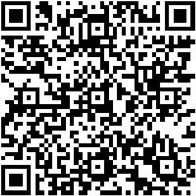 Steuerwerkzeug Sortiment/Set Steuerwerkzeug Satz Opel 1.0 - 1.2 - 1.4