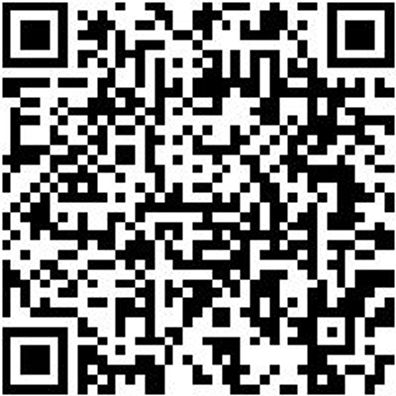 Steuerwerkzeug Sortiment/Set Steuerwerkzeug Satz Fca Group 2.3 Jtd