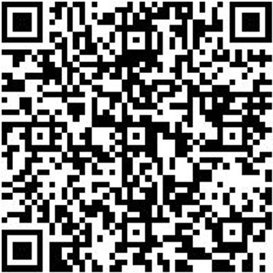 Steuerwerkzeug Sortiment/Set Steuerwerkzeug Satz Renault/Nissan