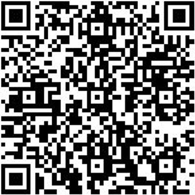 Steuerwerkzeug Sortiment/Set Steuerwerkzeug Satz Psa Gruppe