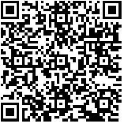 Steuerwerkzeug Sortiment/Set Steuerwerkzeug Satz Suzuki 1.3 Cdti