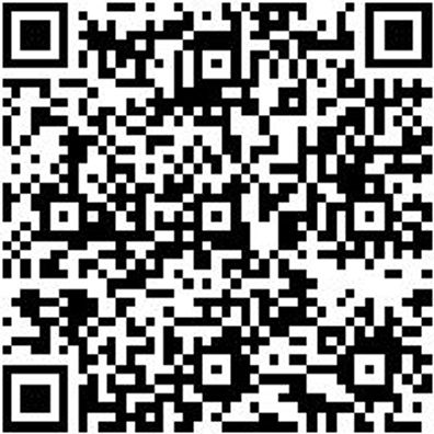 Steuerwerkzeug Sortiment/Set Steuerwerkzeug Satz Ford