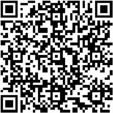 Steuerwerkzeug Sortiment/Set Steuerwerkzeug Satz Renault/Nissan