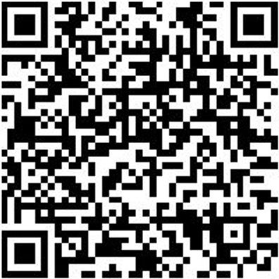 Steuerwerkzeug Sortiment/Set Steuerwerkzeug Satz Vw Gruppe