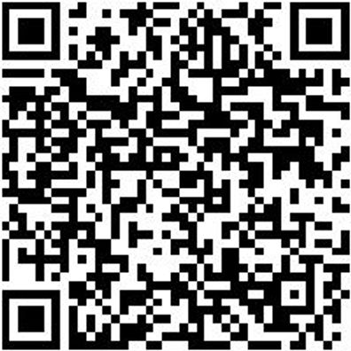 Steuerwerkzeug Sortiment/Set Kurbelwellen Blockierung