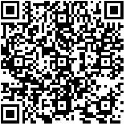 Steuerwerkzeug Sortiment/Set Steuerwerkzeug Satz Psa