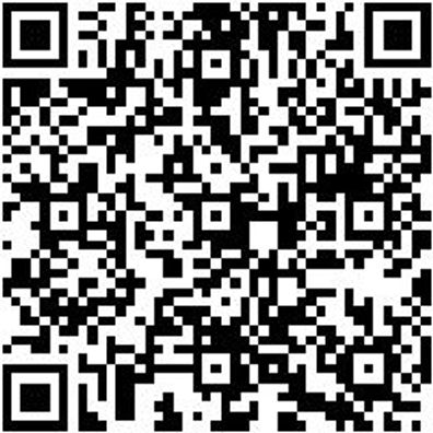 Steuerwerkzeug Sortiment/Set Steuerwerkzeug Satz Vw Gruppe