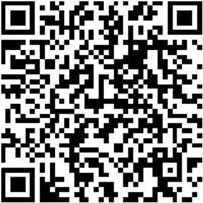 Steuerwerkzeug Sortiment/Set Steuerwerkzeug Satz Vw Gruppe