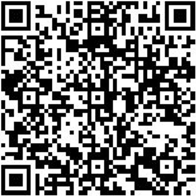 Steuerwerkzeug Sortiment/Set Steuerwerkzeug Satz Fca Group 2.0 Jts