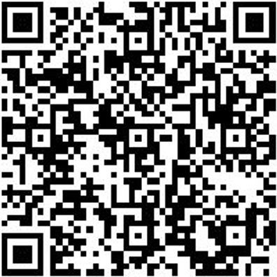 Steuerwerkzeug Sortiment/Set Steuerwerkzeug Satz Vw Gruppe