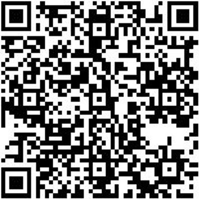 Steuerwerkzeug Sortiment/Set Steuerwerkzeug Satz Bmw