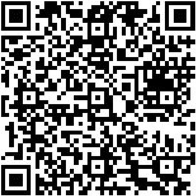 Steuerwerkzeug Sortiment/Set Steuerwerkzeug Satz Renault/Nissan