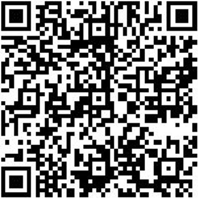 Steuerwerkzeug Sortiment/Set Steuerwerkzeug Satz Opel, Renault