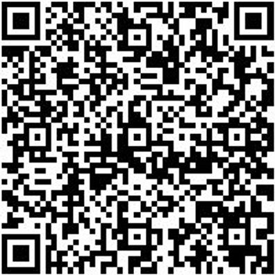 Steuerwerkzeug Sortiment/Set Steuerwerkzeug Satz Renault/Nissan 2.0