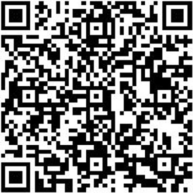 Steuerwerkzeug Sortiment/Set Steuerwerkzeug Satz Psa Group 1.0 - 1.2