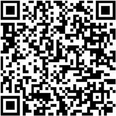 Steuerwerkzeug Sortiment/Set Steuerwerkzeug Satz Vw1.0