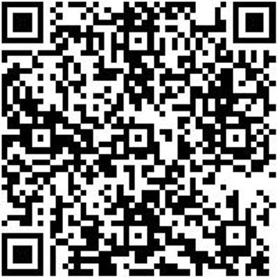 Steuerwerkzeug Sortiment/Set Steuerwerkzeug Satz Mini 1.4-1.6 Benzin