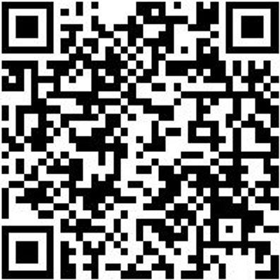 Steuerwerkzeug Sortiment/Set Steurwzg-Sa-Fca-Benzin