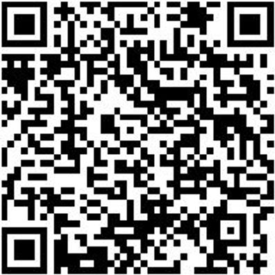 Steuerwerkzeug Sortiment/Set Sperrwkz-Schwungrad-Ford-Focus