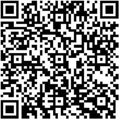 Steuerwerkzeug Sortiment/Set Steurwzg-Set-Mb-Renault-1,3L-Benzin