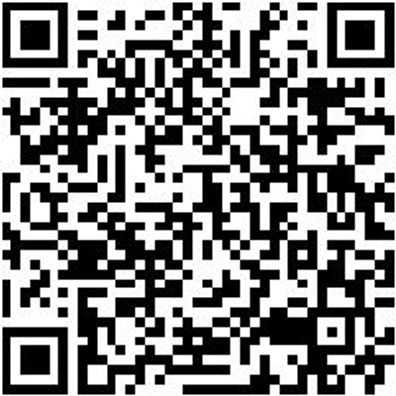 System-Einlage Leer Syseinlg-F.0965905201