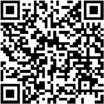 System-Einlage Leer Syseinlg-F.0965905500